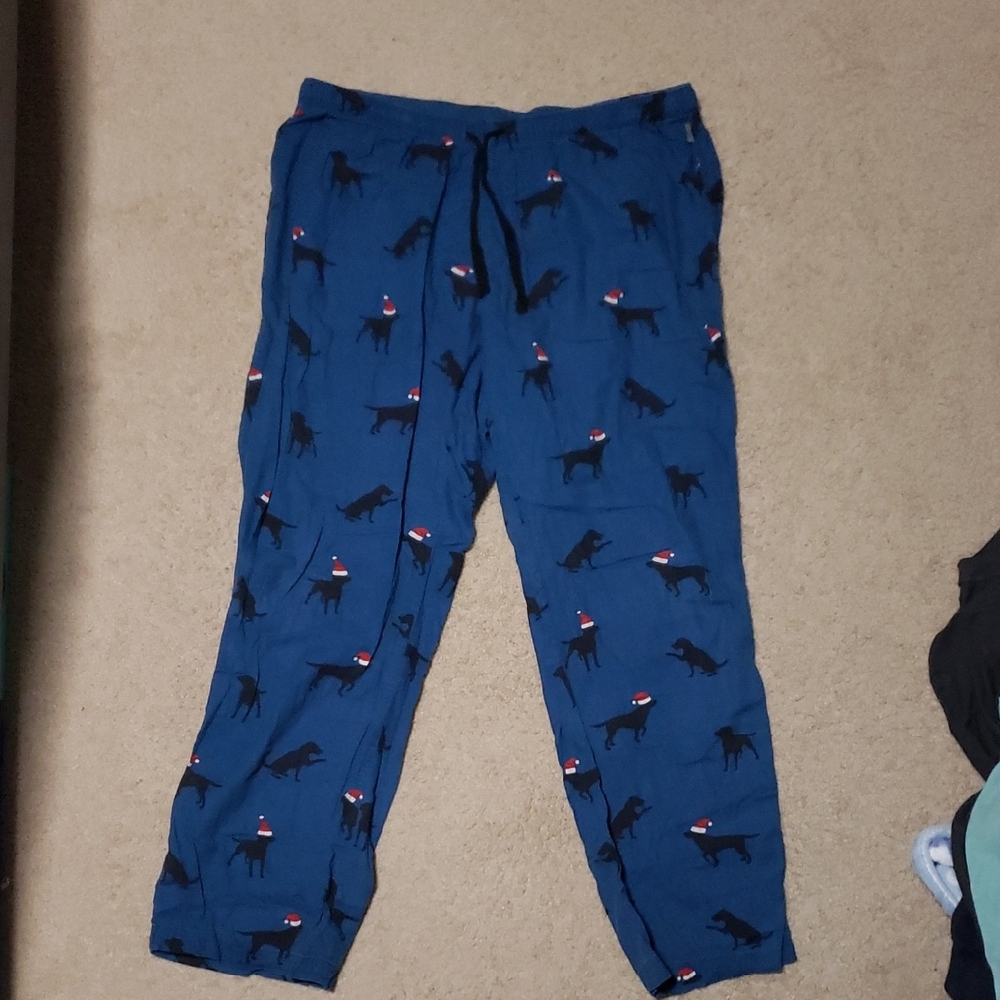 Eddie Bauer Blue Pajama Pants with Dog Print